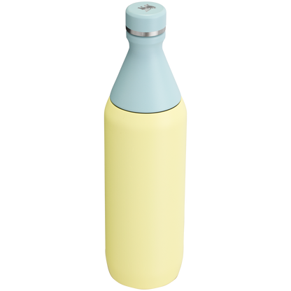 Stanley Leak Proof 20 OZ All Day Slim Bottle with removable collar in Pomelo