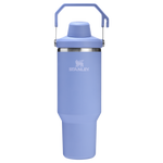 Stanley 40 oz IceFlow Fast Flow Tumbler In Hydrangea Purple