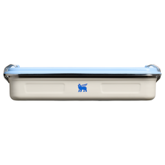 Cream Cornflower Gloss